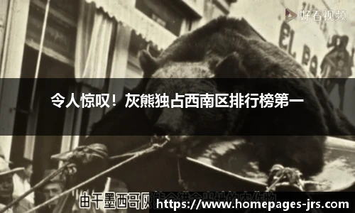 令人惊叹！灰熊独占西南区排行榜第一